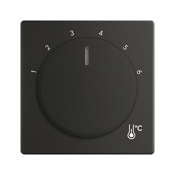 Busch-Jaeger Zentralscheibe Temperatur, rund 1794 R-885